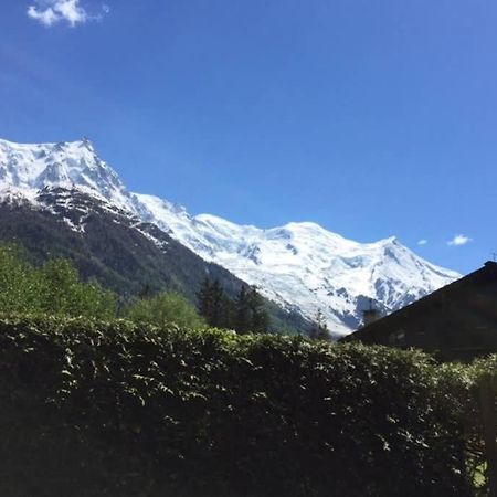Studio Au Calme Avec Jardin Et Vue Mont-Blanc Chamonix Exterior photo