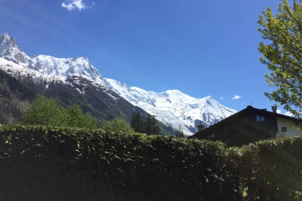 Studio Au Calme Avec Jardin Et Vue Mont-Blanc Chamonix Exterior photo