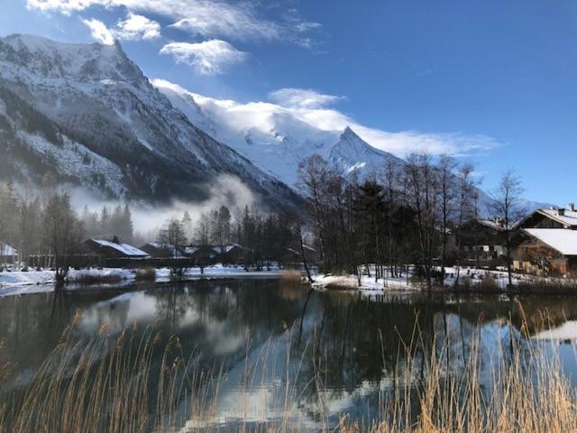 Studio Au Calme Avec Jardin Et Vue Mont-Blanc Chamonix Exterior photo